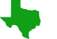 Texas state icon